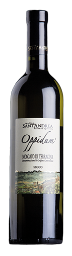 VINO OPPIDUM S.ANDREA | CU-100000.jpg